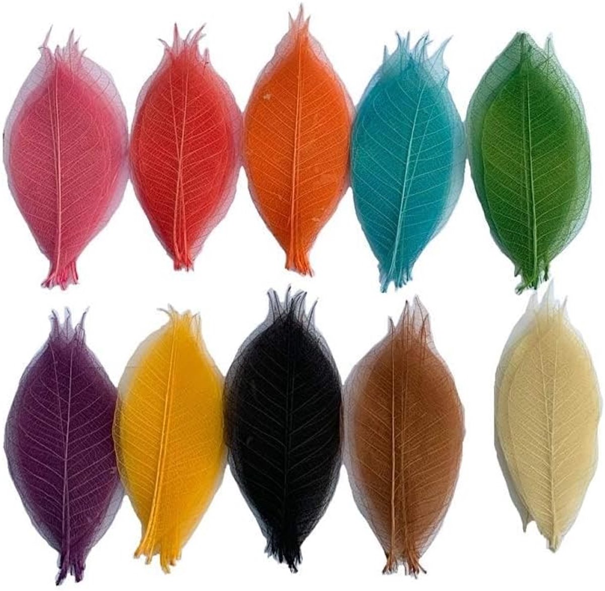 100 Stuks Gemengde Kleuren Skelet Bladeren voor Plakboeken en Ambachten - 4-5 Inch Groot