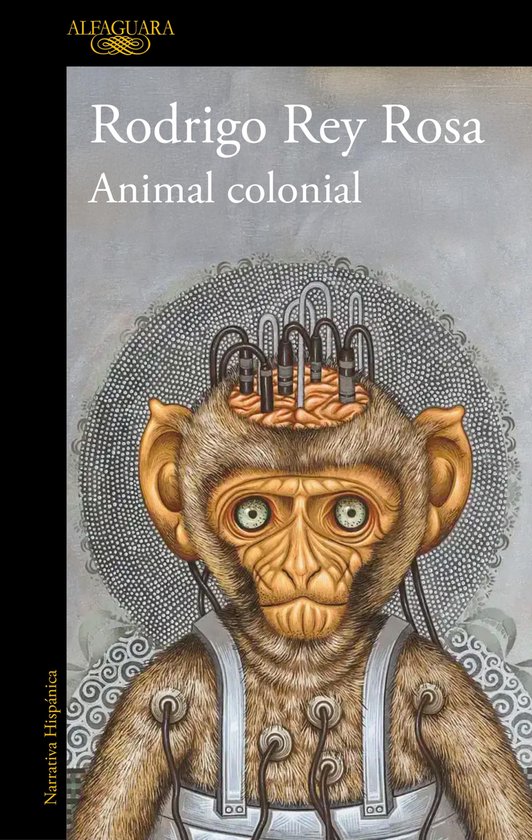Animal colonial - cover