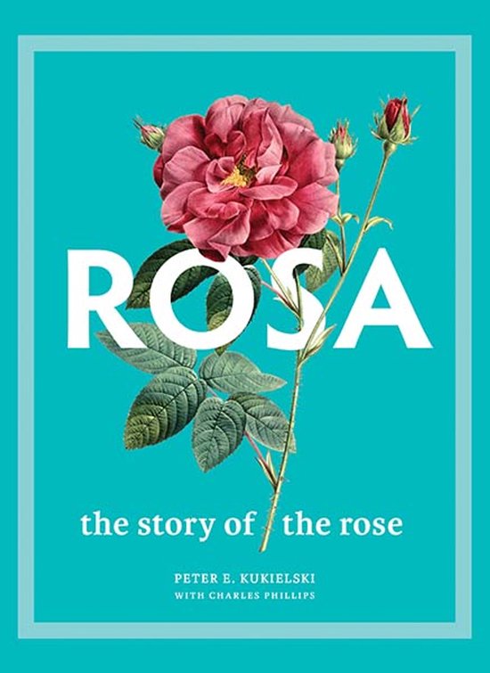 Rosa – The Story of the Rose - cover