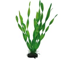 Vallisneria Kunstplant voor Aquariums - 34 cm - Natuurlijke Beweging