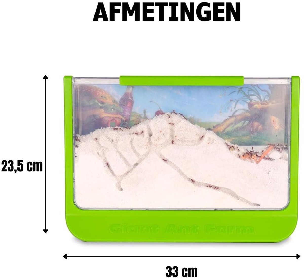 Quvo® Mierenboerderij – Mierenkolonie – Uitbreid Baar Mierenhotel – Groen -33cm x 6cm x 24cm