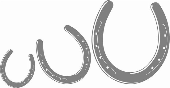 Set van 3 Hoefijzer Stickers - Paard en Pony Raamsticker voor Auto ...