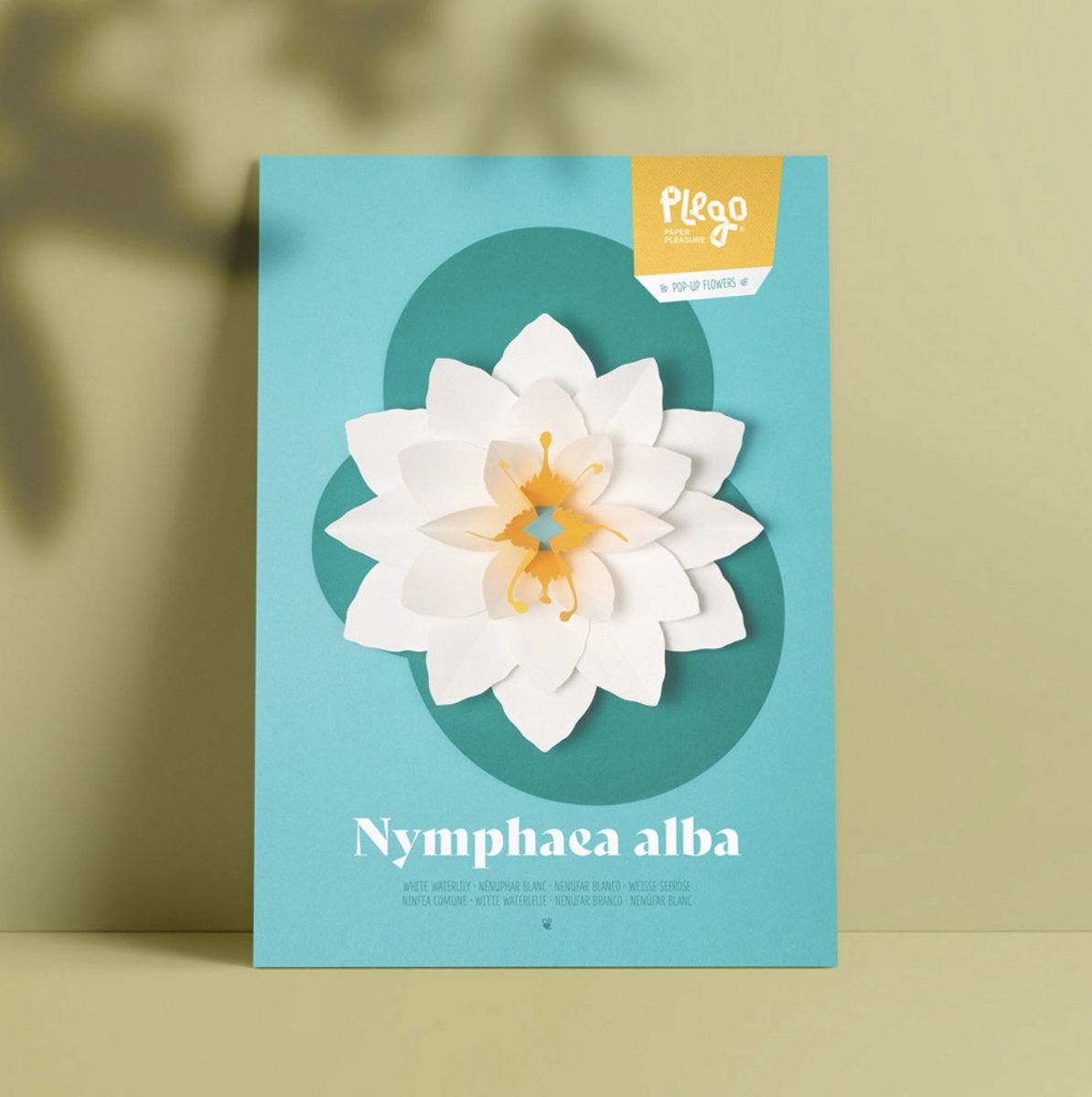 Plego - 3D Design Papieren Figuur POP-UP Flowers “NYMPHAEA ALBA / Witte Waterlelie” Decoratie - Papieren Bloemen - Papierdecoratie voor kinderen en volwassenen - DIY Pakket - Creatief Cadeau Skill: