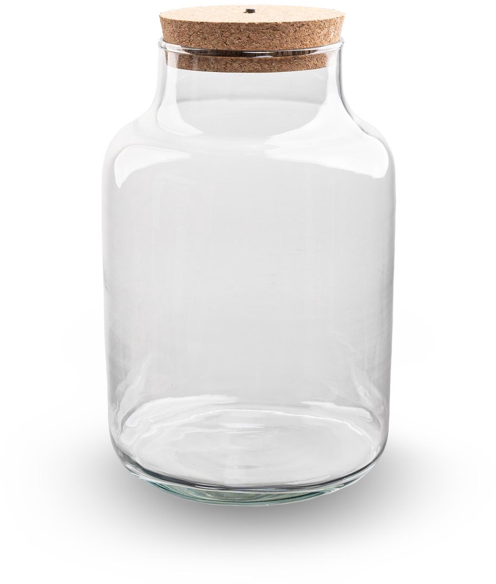 Terrarium bottle garden - DIY Terrarium Online | Florazo