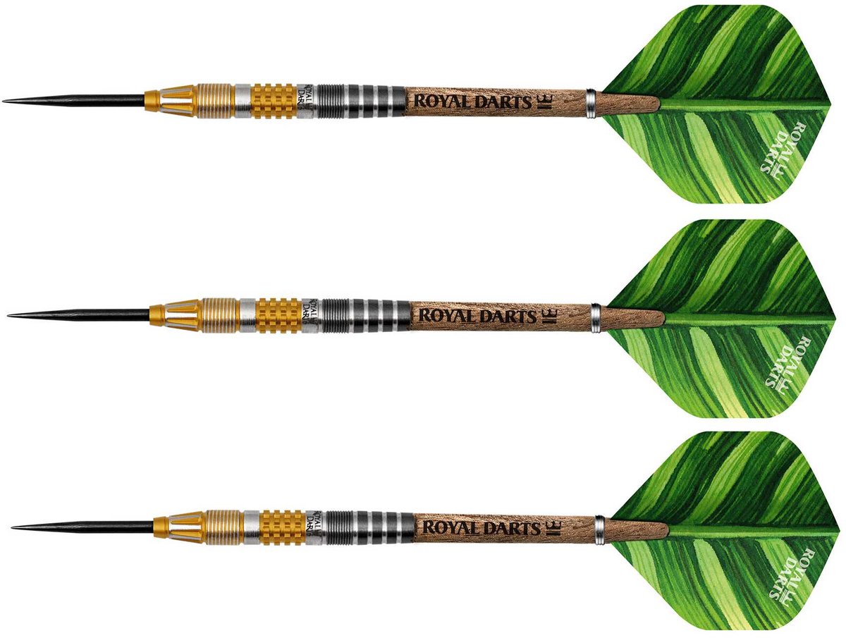 Royal Darts steeltip dartpijlen Green Line 21 gram NT95 precisie.