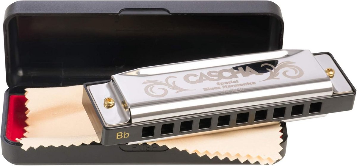 Blues Mondharmonica in Bb-Dur voor Beginners en Kinderen, Zilverkleurig