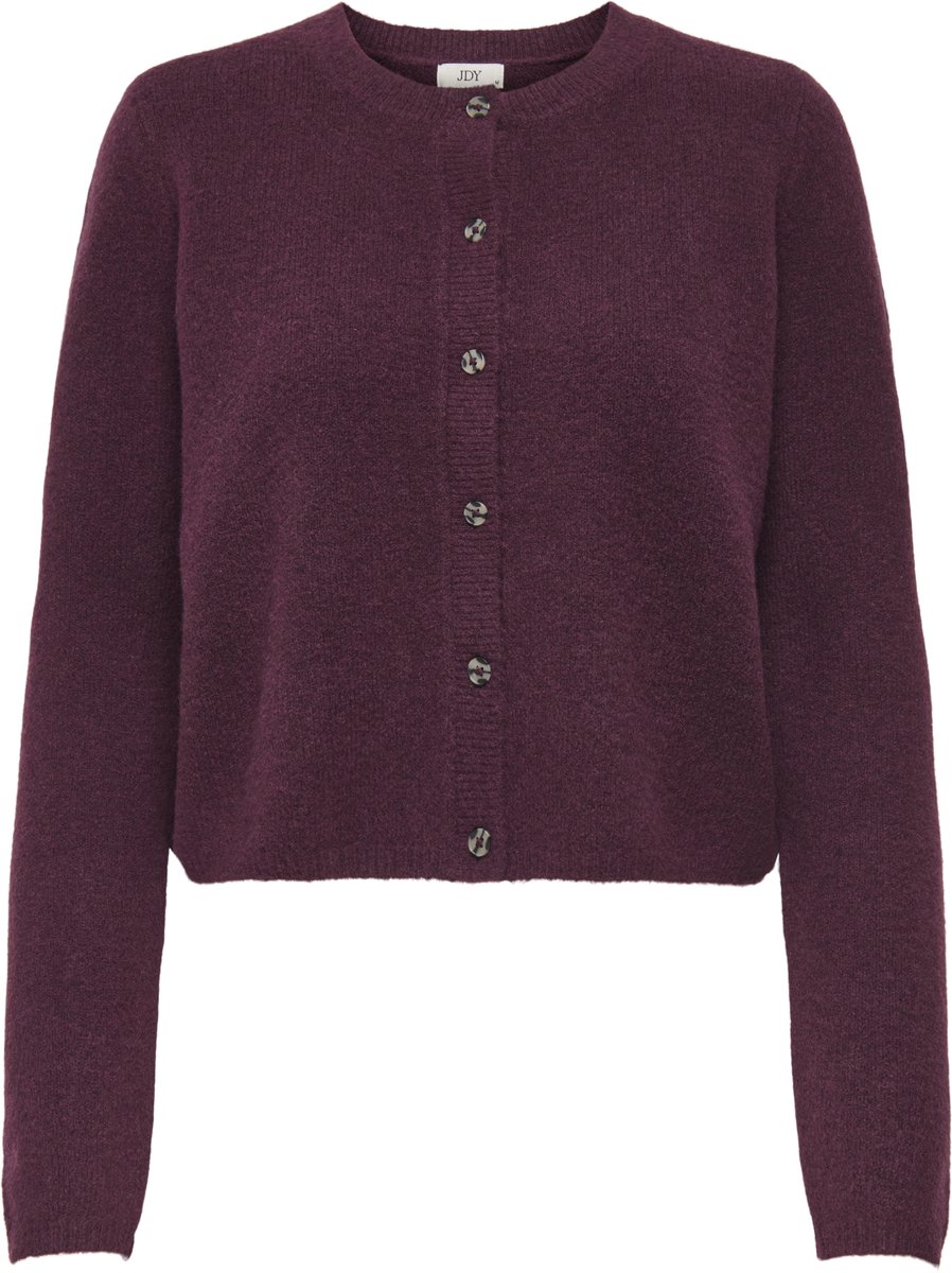 JDY - JDYCHLOE L/S CARDIGAN KNT Dames Trui