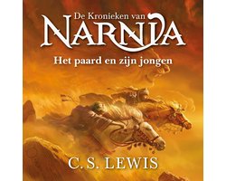 Omslag van Het paard en zijn jongen