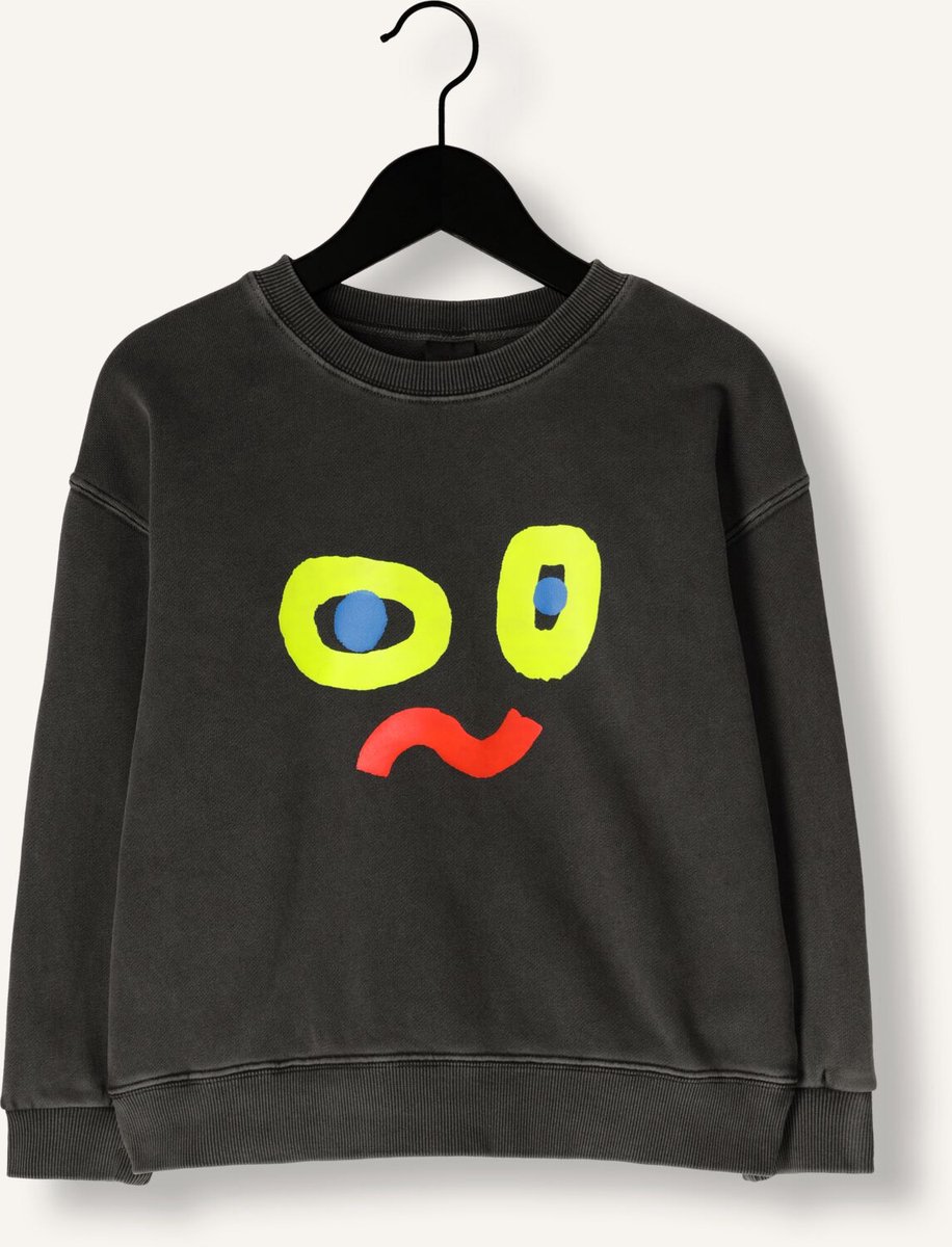Jelly Mallow Catchy Face Pigment Sweatshirt Truien & Vesten Jongens - Sweater - Hoodie - Vest- Antraciet - Maat 104/110
