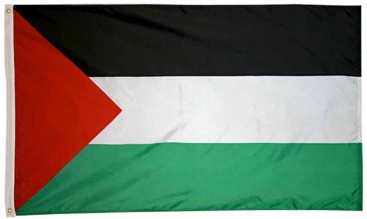 Go Go Gadget - Vlag Palestina - 90x150cm