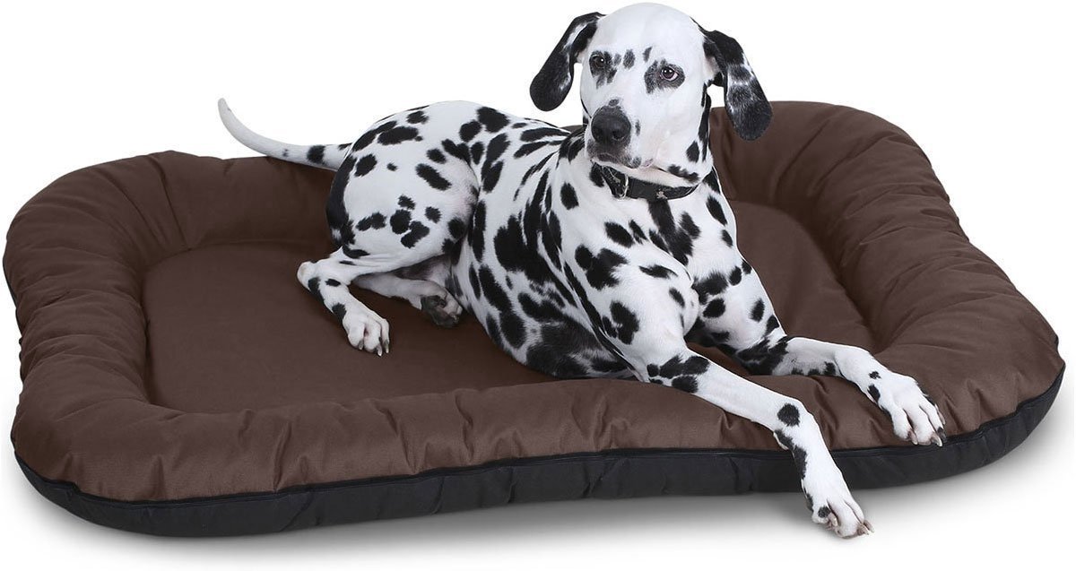 Knuffelwuff waterbestendig hondenbed voor binnen en buiten Lucky L 70 x 46cm bruin
