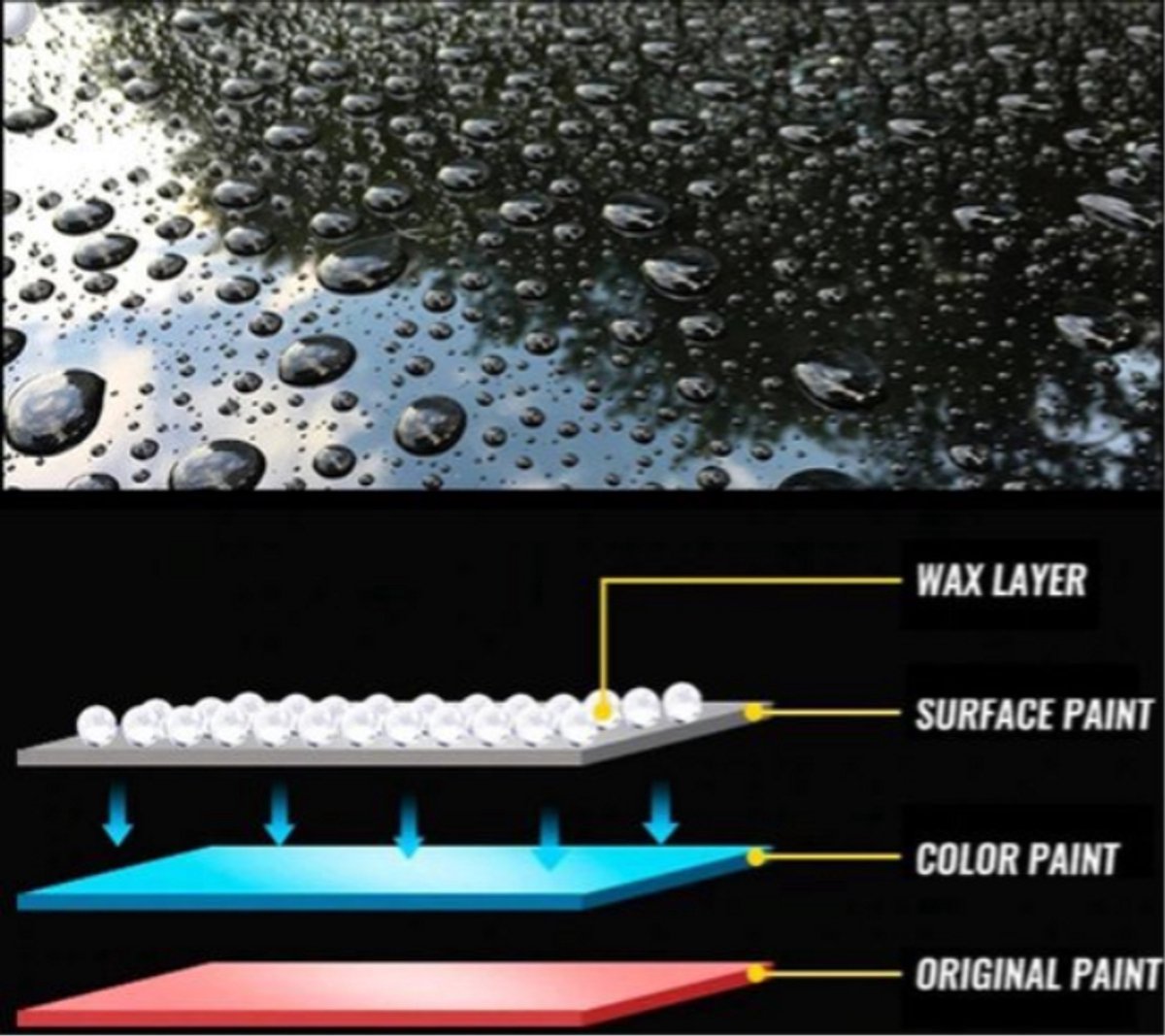TLVX Glas Coating Keramisch Autolak / Mr. Fix keramische glas coating / Lakverzegeling / Krasverwijderaar / Lakbescherming / Kras verwijderen auto / Auto polijsten / Auto Glas Coating 50ML / Auto lak bescherming / Vuilafstotend / Lange bescherming – foto 4