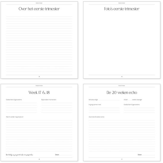 Binnenkant van een zwangerschapsdagboek met secties voor het eerste trimester, week 17 & 18, en de 20 weken echo.
