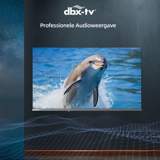 Grote flatscreen tv met een dolfijn die uit het water springt. "dbx-tv Professionele Audioweergave" staat op de achtergrond.
