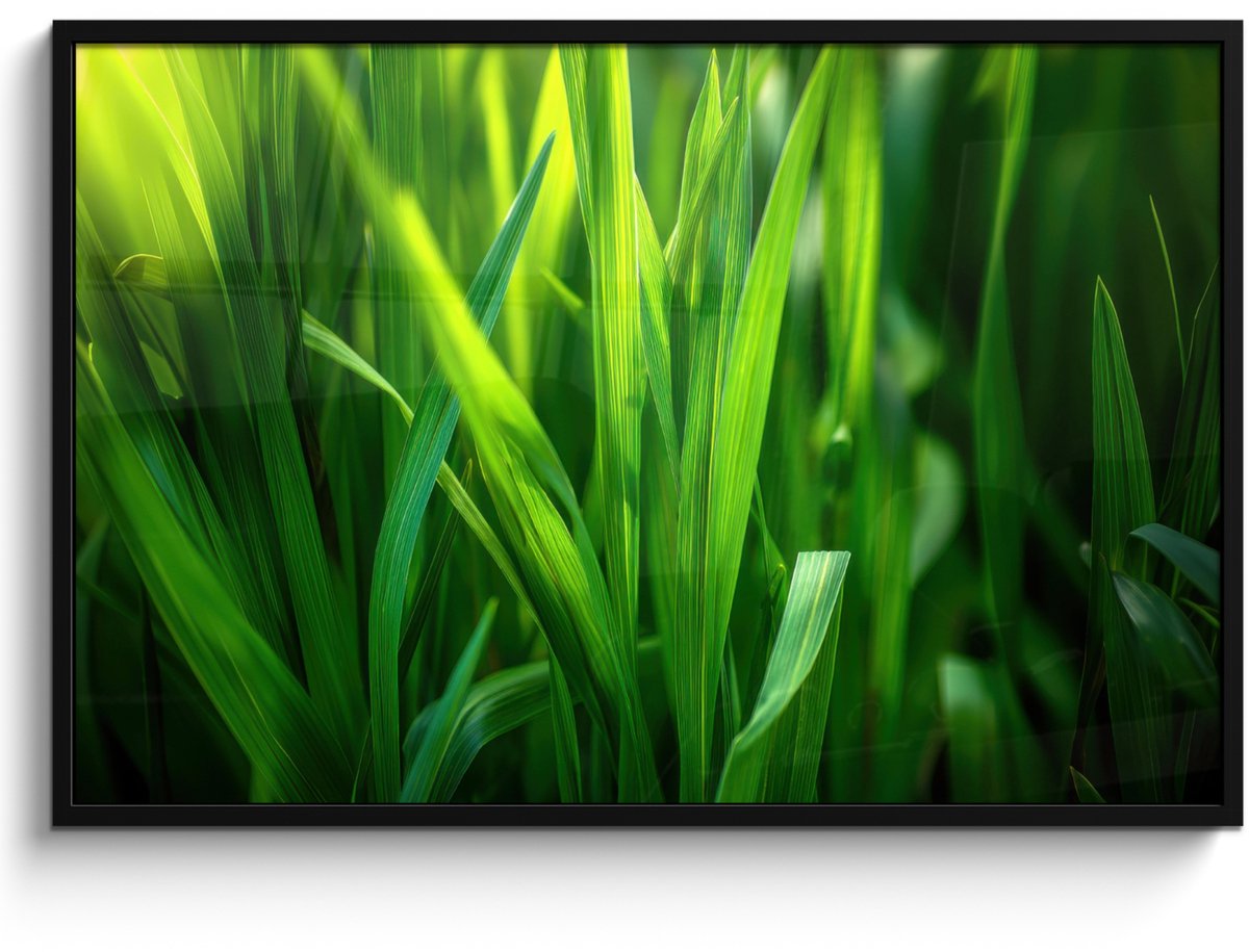 FrameYourWall Poster in lijst - Fotolijst 120x80 cm - Posters - Grassprieten - Lichtinval - Groen - Posterlijst zwart - Decoratie - Wanddecoratie woonkamer - Muurdecoratie slaapkamer