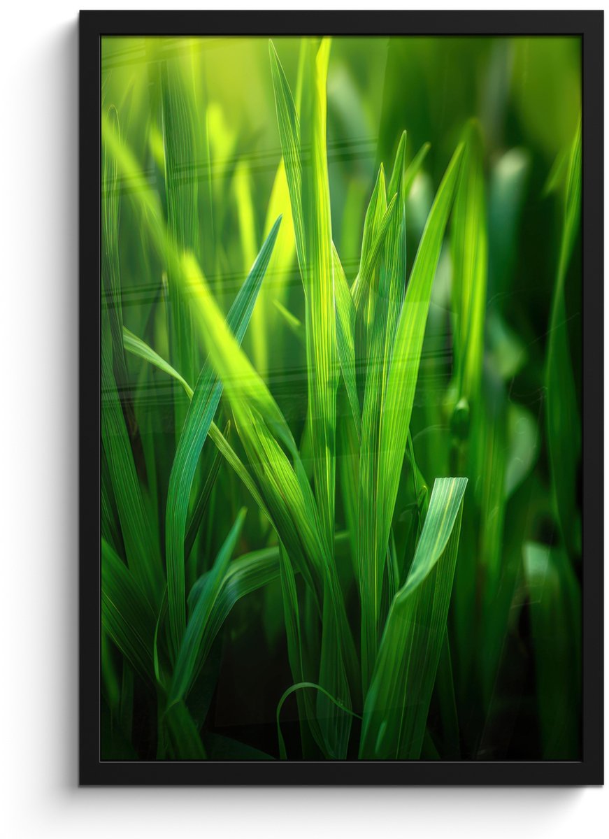 FrameYourWall Poster in lijst - Fotolijst 40x60 cm - Posters - Grassprieten - Lichtinval - Groen - Posterlijst zwart - Decoratie - Wanddecoratie woonkamer - Muurdecoratie slaapkamer