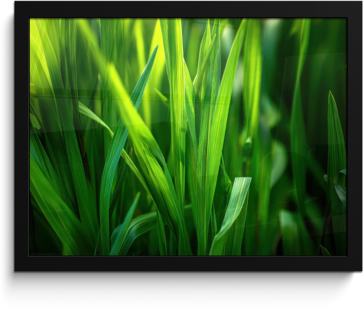 FrameYourWall Poster in lijst - Fotolijst 40x30 cm - Posters - Grassprieten - Lichtinval - Groen - Posterlijst zwart - Decoratie - Wanddecoratie woonkamer - Muurdecoratie slaapkamer