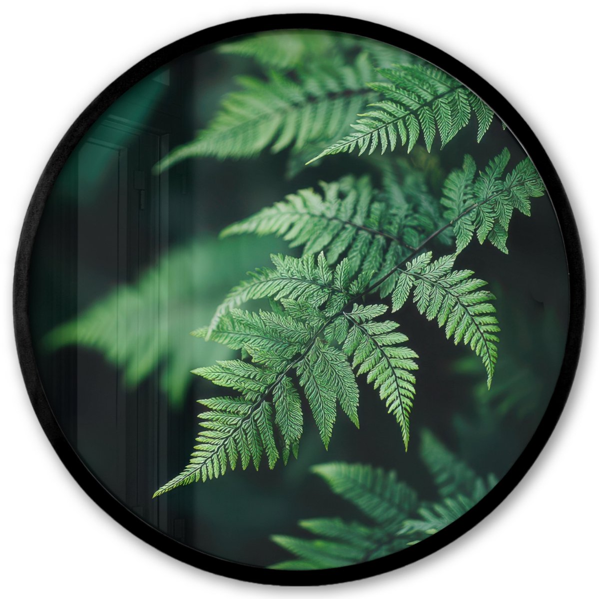 FrameYourWall Poster in lijst Rond - Fotolijst 40x40 cm - Posters - Varenblad - Groen - Structuur - Wazig - Ronde posterlijst zwart - Decoratie - Wanddecoratie woonkamer - Muurdecoratie slaapkamer