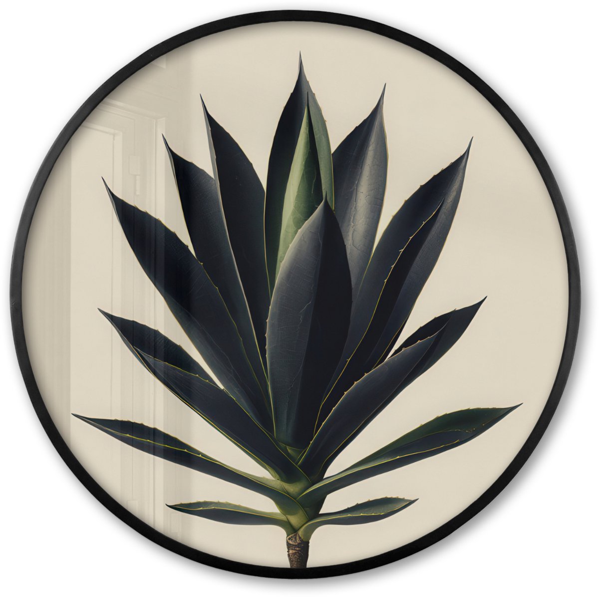 FrameYourWall Poster in lijst Rond - Fotolijst 80x80 cm - Posters - Agaveplant - Symmetrisch - Groen - Ronde posterlijst zwart - Decoratie - Wanddecoratie woonkamer - Muurdecoratie slaapkamer