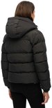 Zicht op de achterkant van een zwarte Superdry pufferjas met capuchon.