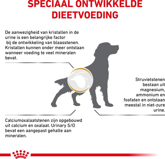 Royal Canin Urinaire S/O - 2.0 KG