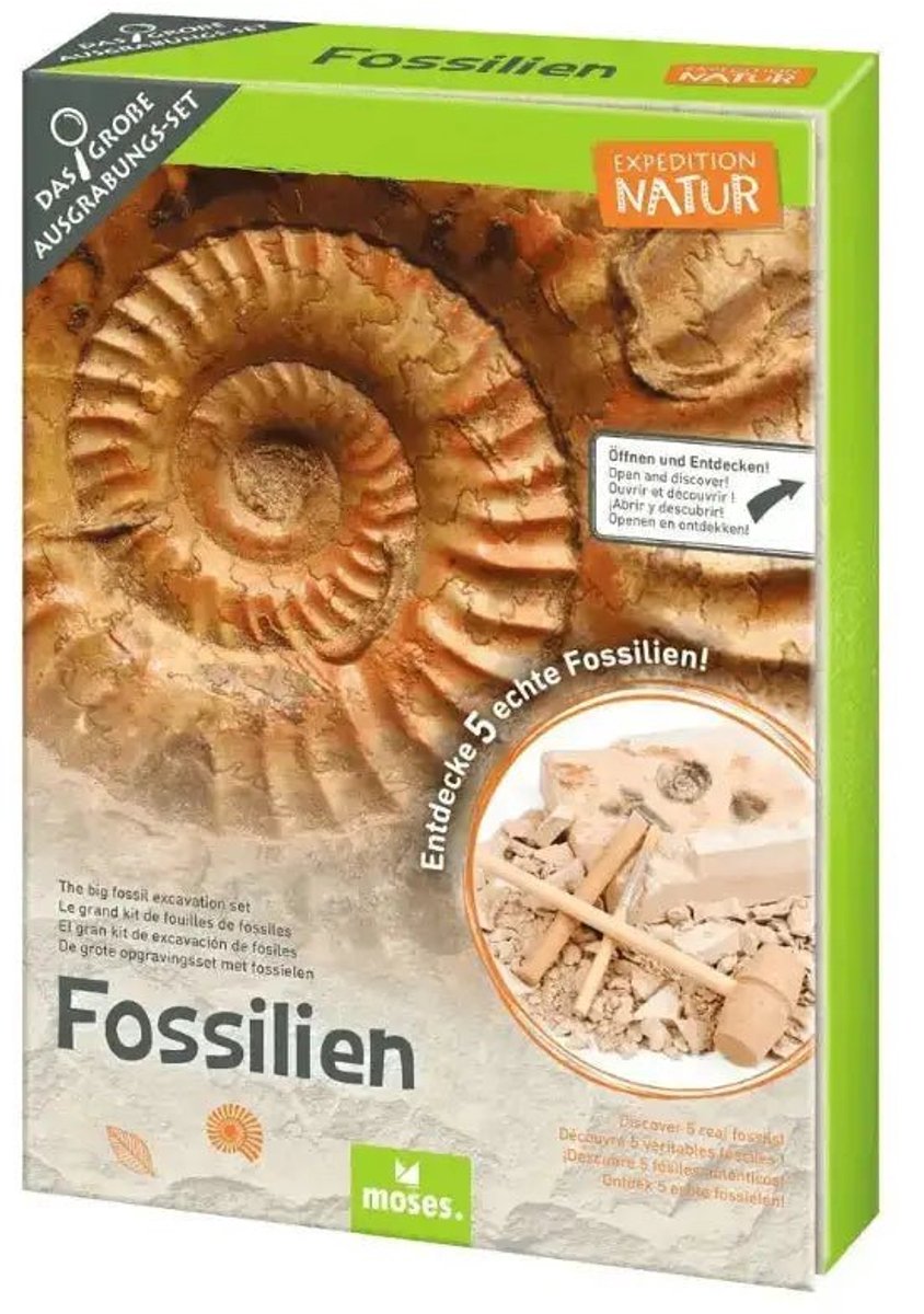 Expeditie Natuur Uithakset Fossielen - Uithakset