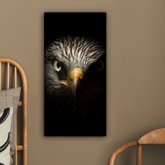 Tableau sur toile Vogel - Aigle - Rapaces - Oeil - Bec - Lumière - 40x80 cm - Décoration murale