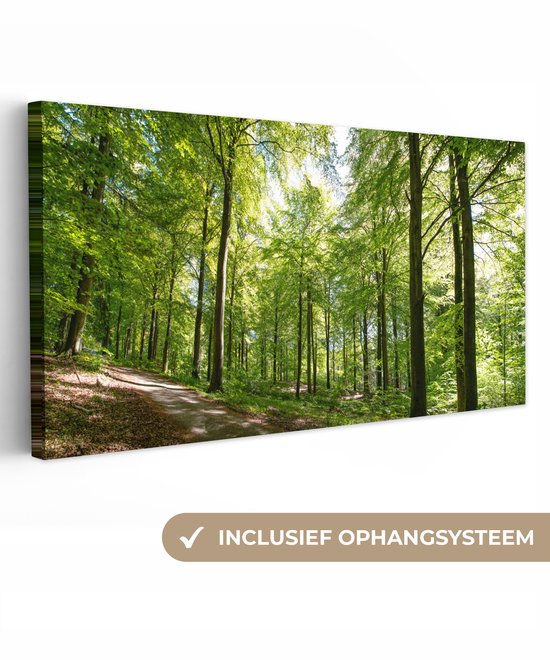 Peintures sur toile Forêt - Soleil - Arbre - 40x20 cm - Décoration murale