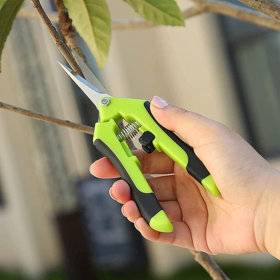 Tuinschaar, 2 stuks bloemenschaar, roestvrij stalen oogstschaar, leesschaar, takkenschaar, 2 snoeischaar + 1 paar tuinhandschoenen, set, voor tuin, groenten en fruit, enz. (groen + blauw) van Fippy — afbeelding 2