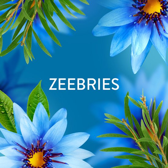 Deux nénuphars bleus avec des branches et des feuilles vertes sur fond bleu avec le texte 'ZEEBRIES'.