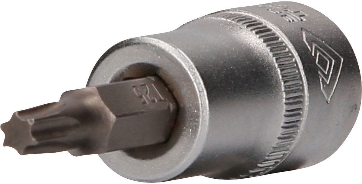 BRILLIANT GEREEDSCHAP 3/8" Torx bitmof T25 - BT021942