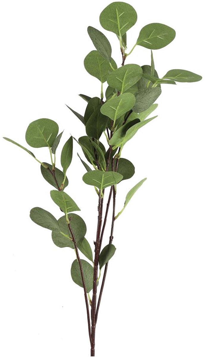 Countryfield Kunsttak Eucalyptus groen 17xH90cm