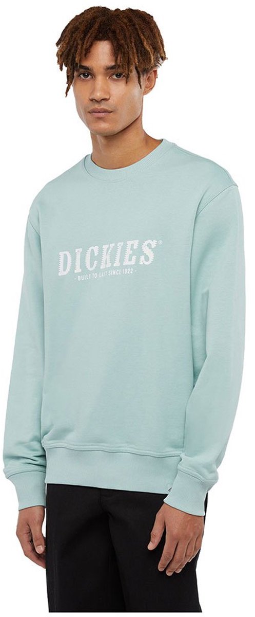 Dickies Script Sweatshirt S Man Blauw