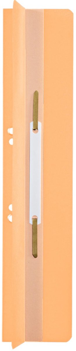 LEITZ Heftrücken, 65 x 305 mm, Manilakarton, chamois, mit Heftfalz, 250 g-qm, Lochung: 60-80 mm, Standard-Lochung (3726-00-11)