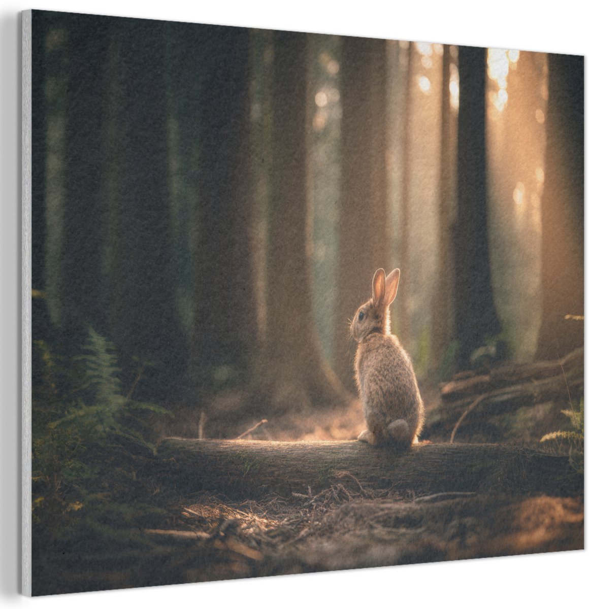 Akoestisch wandpaneel 100x70 cm - Vilt schilderij Konijn - Bos - Zonnestralen - Akoestische panelen - Geluidsdempende wanddecoratie - Geluidsisolatie woonkamer - Muurdecoratie geluidspanelen