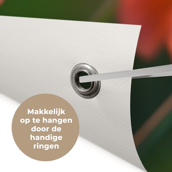 Detail van een tuinposter met oranje klaprozen, met een oogje om op te hangen. Text: Makkelijk op te hangen door de handige ringen.