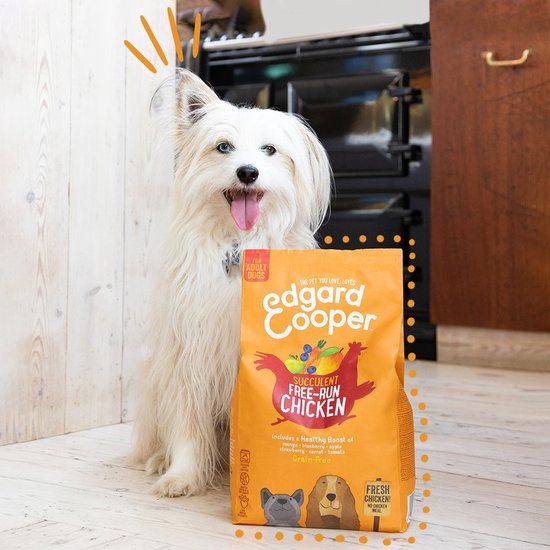 Witte hond met oranje Edgard & Cooper hondenvoer zak, die staat bij een keukenfornuis.