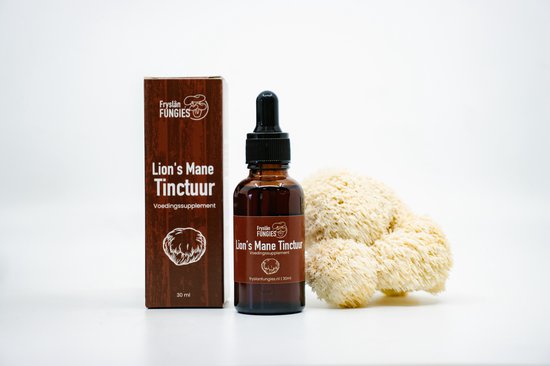 Flesje bruine Lion's Mane Tinctuur, verpakking en een kleine Lion's Mane paddenstoel op een witte achtergrond.