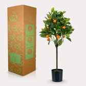 Kunstboom Sinaasappelboom de luxe >> De Groot Decoraties