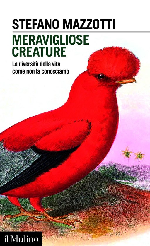 Intersezioni - Meravigliose creature - cover
