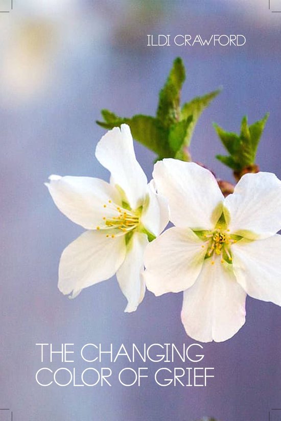 The Changing Color of Grief - cover