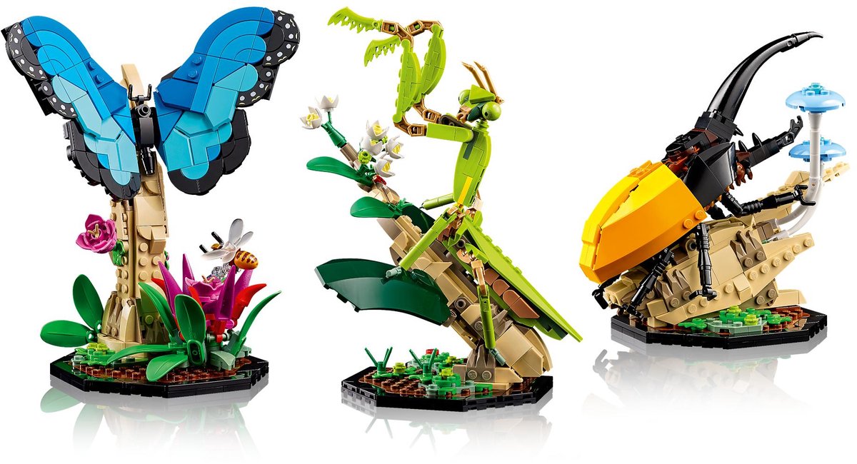 LEGO Ideas De Insectencollectie - 21342 — afbeelding 21