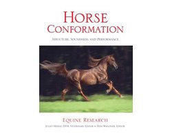 Horse Conformation