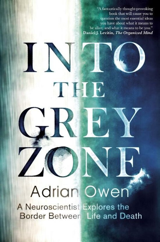 Into the Grey Zone - cover