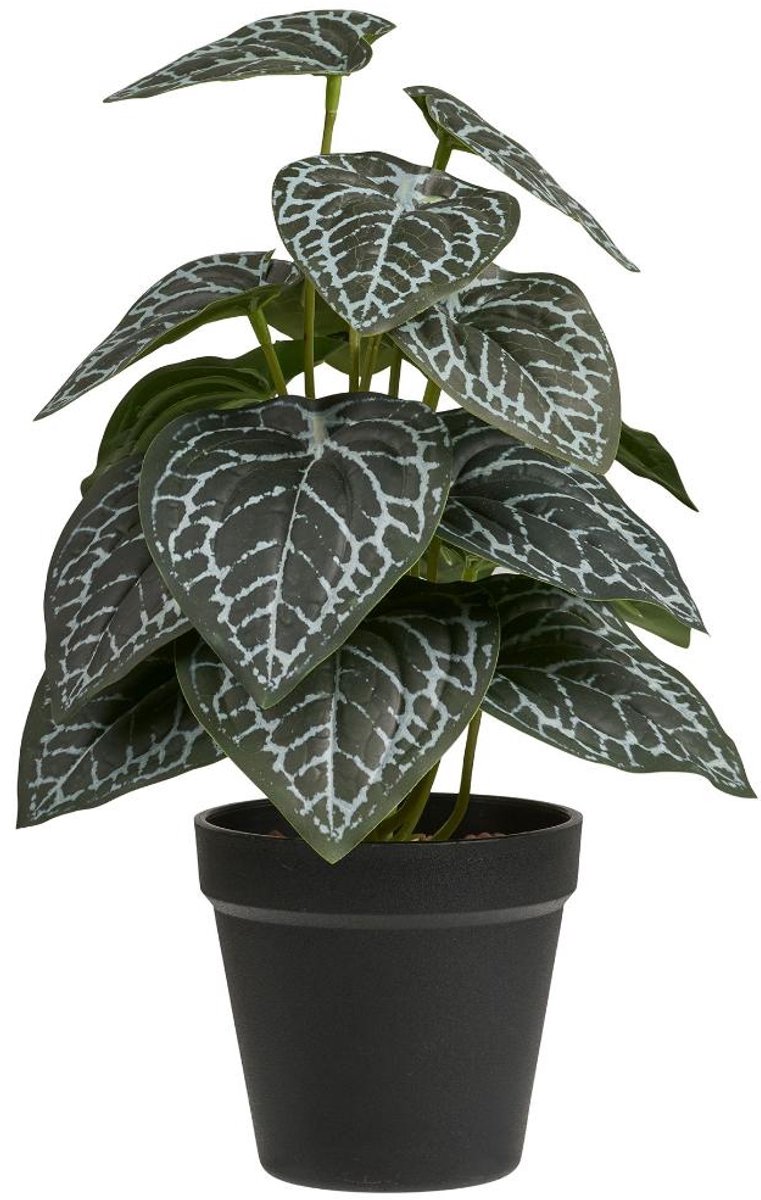 House Nordic Alocasia kunstplant hoogte 33cm groen.