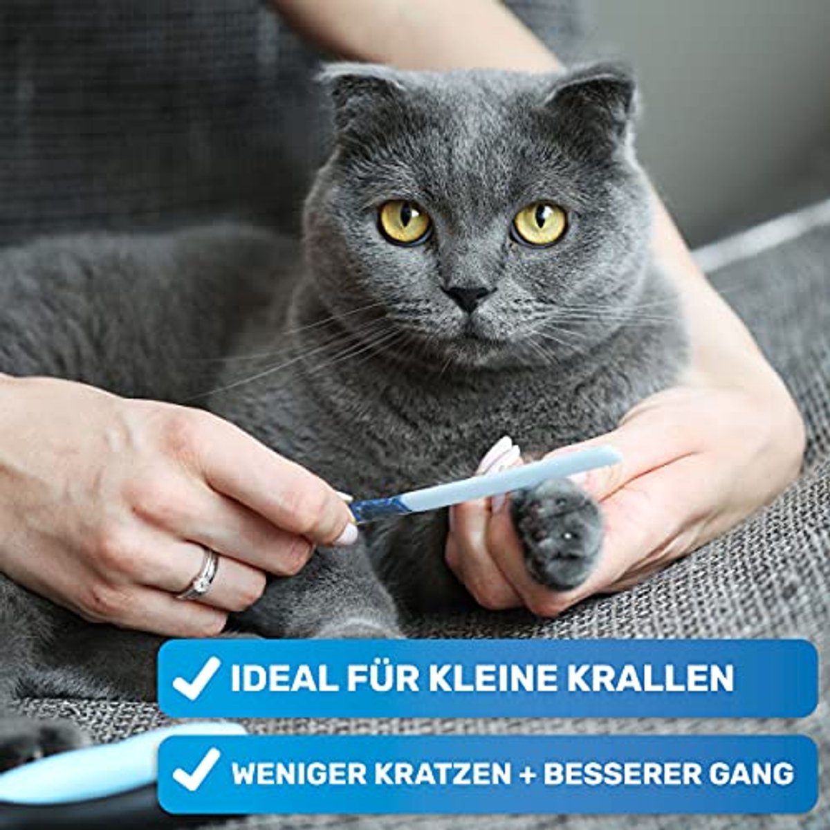 Klauwschaar voor honden, katten en kleine dieren - Perfecte nagelschaar met bescherming