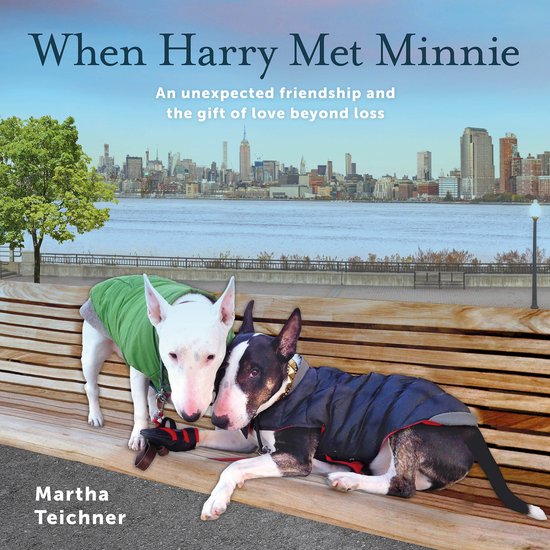 When Harry Met Minnie - cover