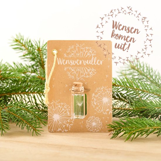 Wish jar cadeau vriendinnen tot 25 euro