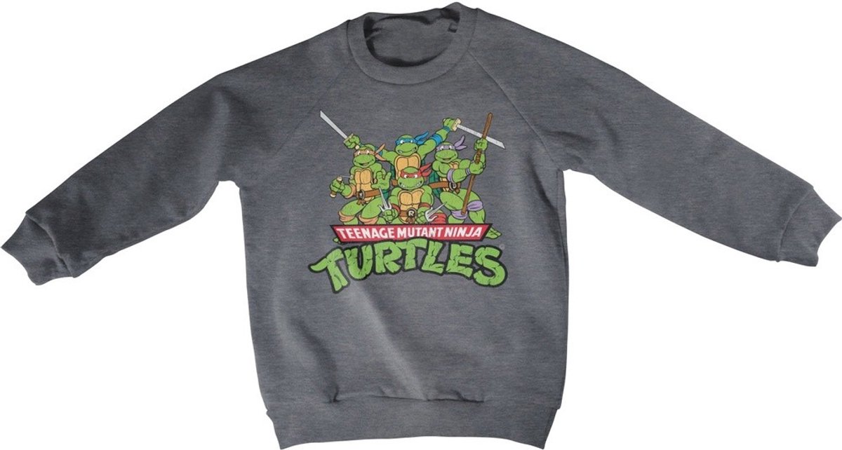 Teenage Mutant Ninja Turtles Teeange Mutant Ninja Turtles Distressed Group kindersweatshirt, donkergrijs gemêleerd