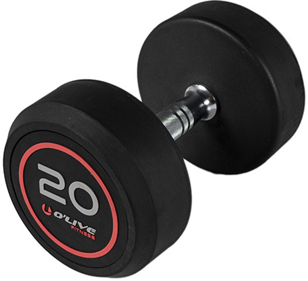 Olive Professionele Dumbbell 20 Kg Zilver